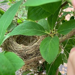 Meet your Posher, Kerry